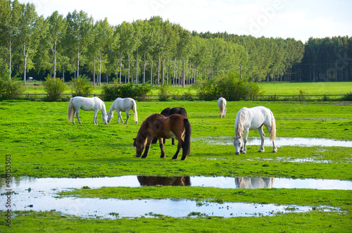 Landschaft bei Mortefontaine im Val d'Oise photo