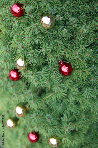 Close up photo of fir tree decorated with red and golden Christmas balls. Beautiful Christmas tree photo. Holidays in Europe. 