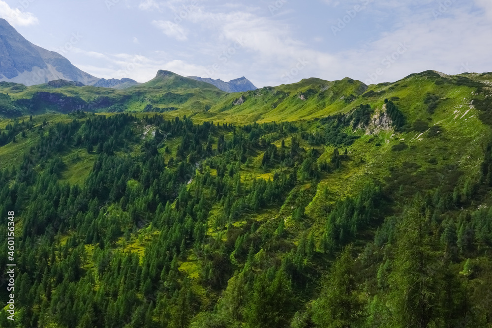 Fototapeta premium amazing green mountain landscape with trees and hills in austria