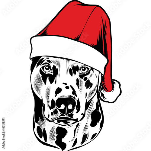 dalmatian Dog in Santa Hat for Christmas