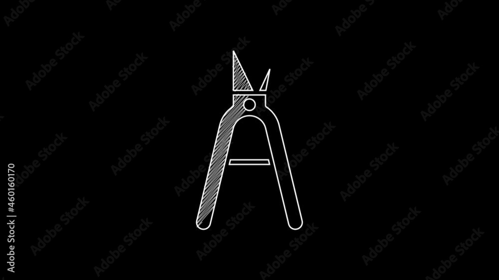 White line Gardening handmade scissors for trimming icon isolated on black background. Pruning shears with wooden handles. 4K Video motion graphic animation White line Gardening handmade scissors for trimming icon isolated on black background. Pruning shears with wooden handles. 4K Video motion graphic animation