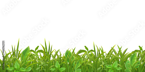 Grass Leaves Seamless Pattern