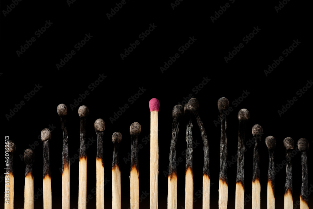 Chain of matches, burned from the top, one good matchstick stands in the middle. Concept of standing out of the crowd, being strong individual. Chain of matches, burned from the top, one good matchstick stands in the middle. Concept of standing out of the crowd, being strong individual.