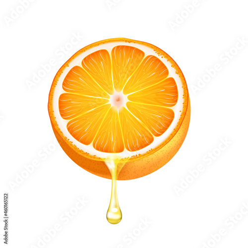 Realistic Orange Illustration