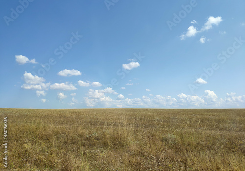 Crimean peninsula. August landscape in the western part of the steppe Crimea.