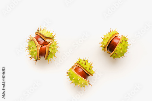 Chestnuts fruits on a white background. Chestnuts on a white background. Ripe chestnuts. 