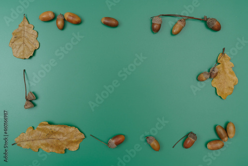 A photo or postcard frame made of dried oak leaves and acorns on a green background.