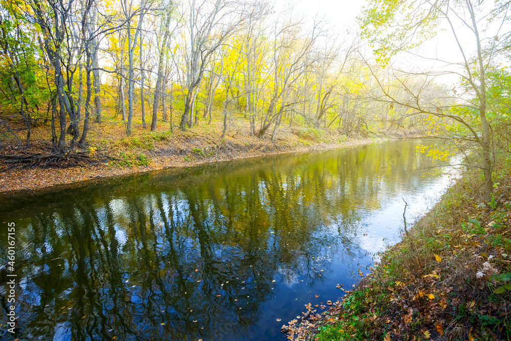 quiet river flow among autumn forest at the bright day