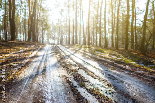 snowbound winter forest glade in light of sparkle sun