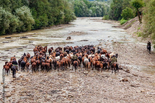 Shepherds drive a herd of horses along a mountain river