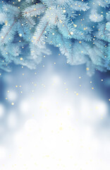Beautiful blue Christmas tree, snowflakes on snow on winter background.