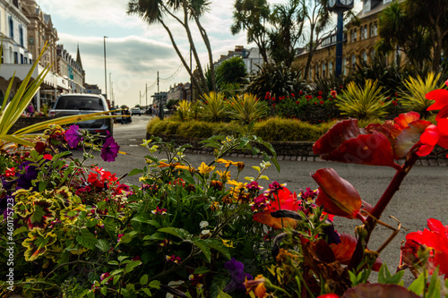 Llandudno view of flowers along the road, United Kingdon