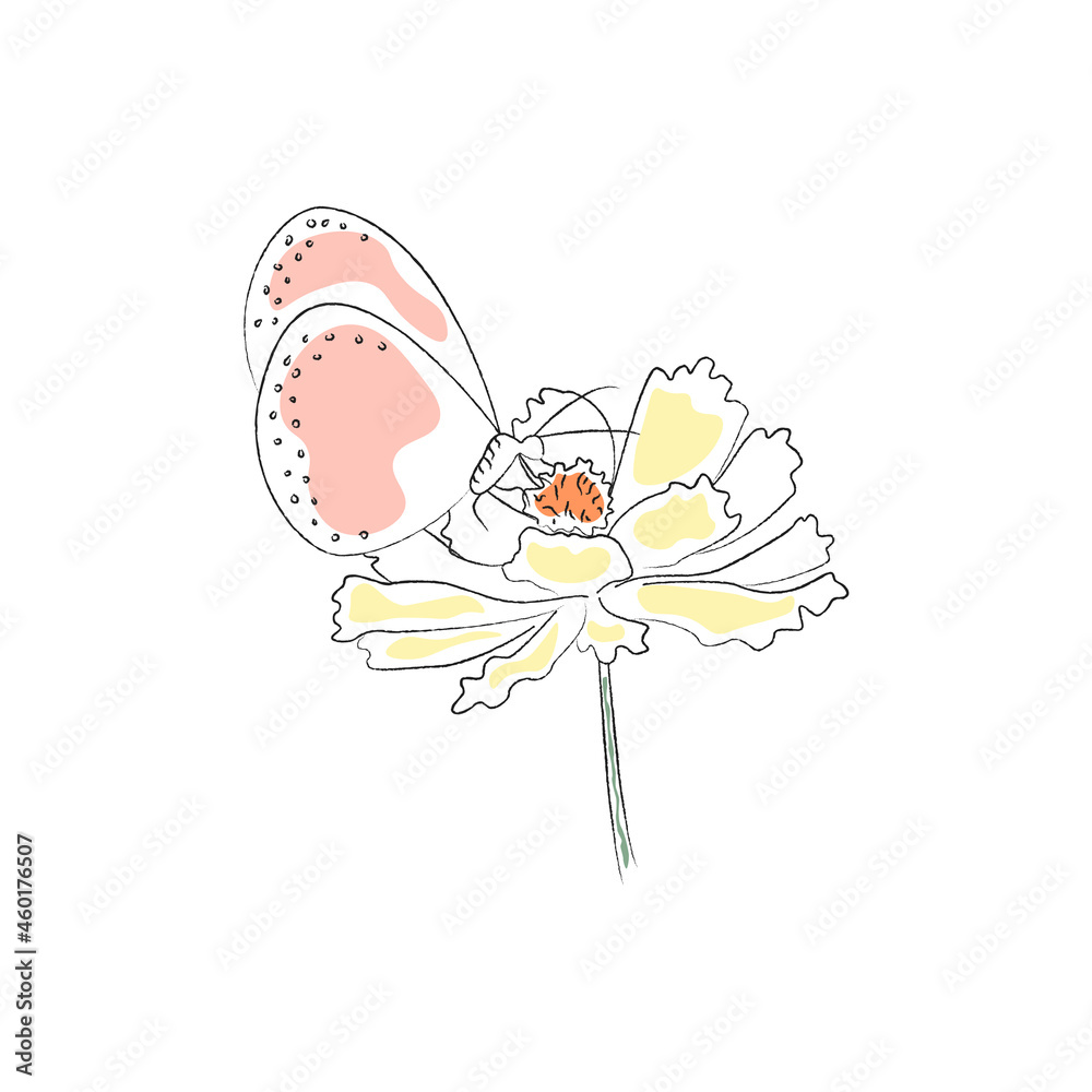 Minimalistic butterfly on flower. Line art hand drawing vector illustration. Pastel colors. Pink, yellow, green color spots. Floral elements. Outline art.
