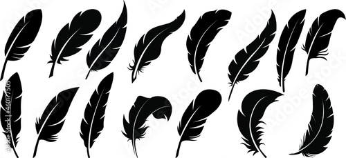 Big set of bird feathers design. fluffy swan. soft bird plumage set. Pen icons design. set of bird feathers design photo