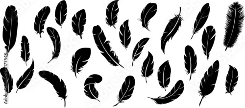 Fotografia Big set of bird feathers design