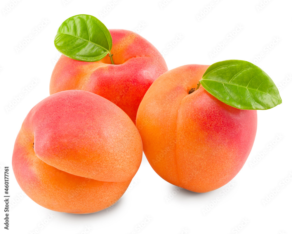 apricot fruit with green leaf isolated on white background. clipping path apricot fruit with green leaf isolated on white background. clipping path