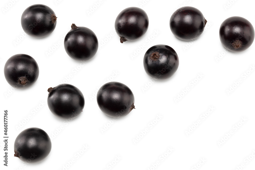 black currant isolated on white background. macro. clipping path. top view black currant isolated on white background. macro. clipping path. top view