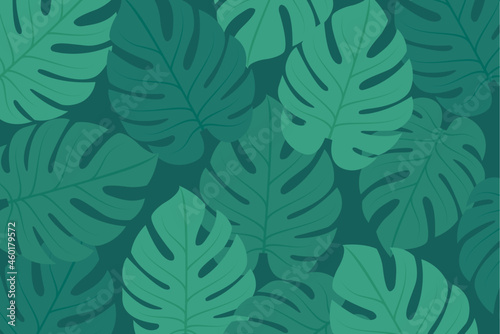 Monstera Leaf Background, Monstera Leaf Icon, Monstera Deliciosa, Houseplant, Trendy Leaves, Green Plant, Green Leaf, Vector Illustration Background