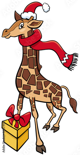 cartoon giraffe animal character with gift on Christmas time