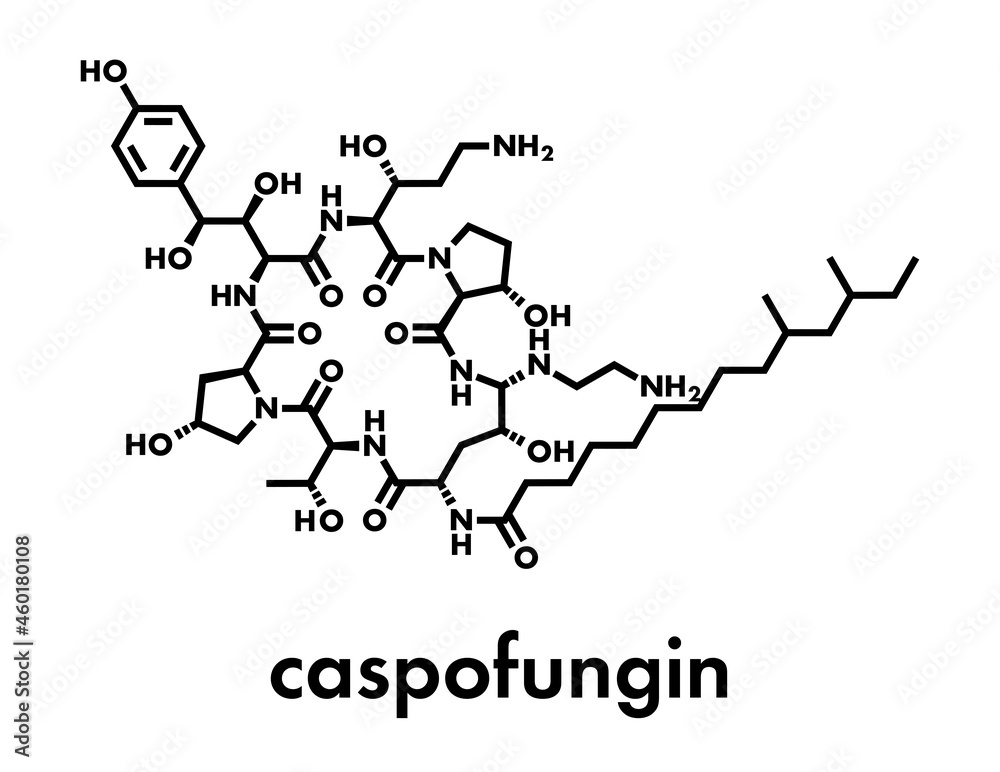 Caspofungin antifungal drug molecule. Skeletal formula.