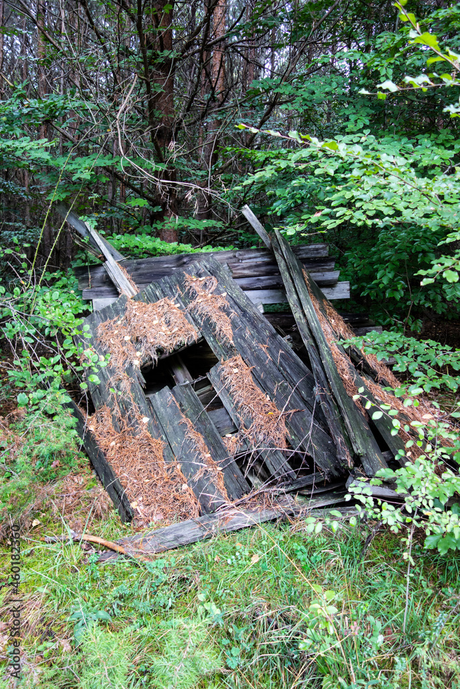 Fototapeta premium Old dilapidated collapsed hunting tower in the woods