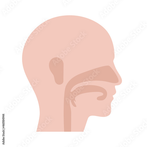 Otolaryngology clinic concept