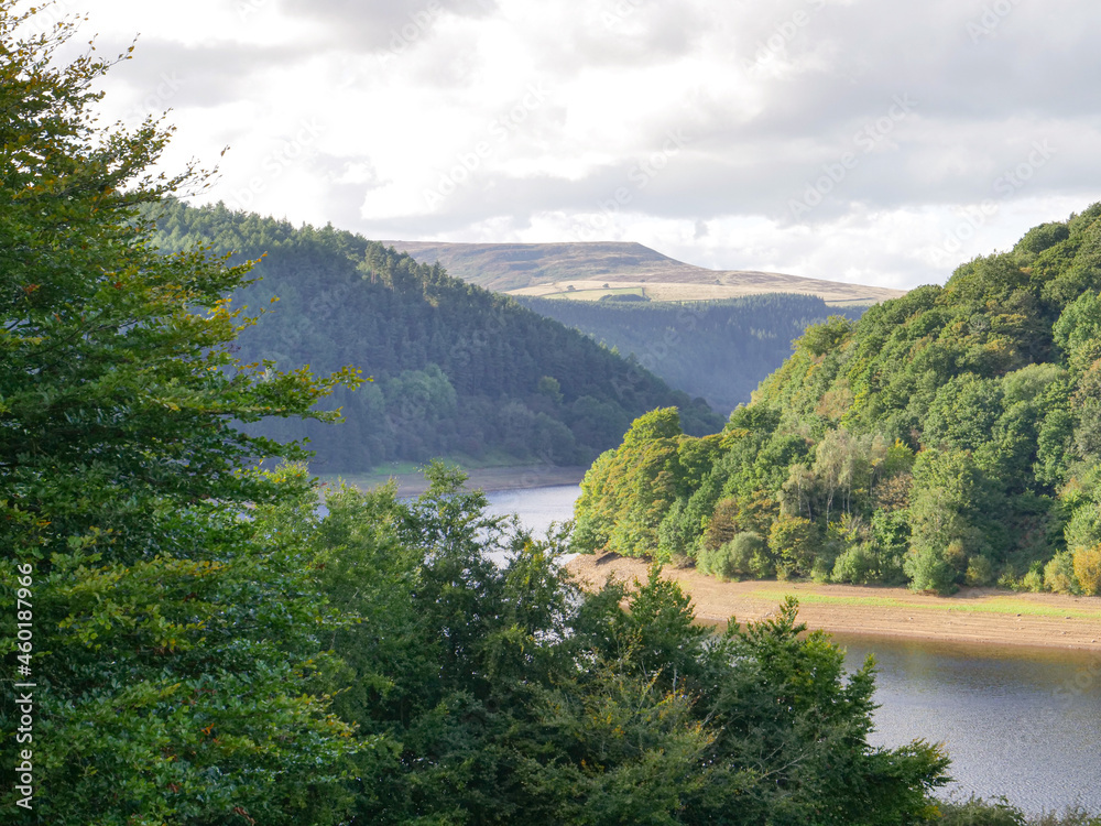 peak district national park, United Kingdom, green trees over seeing river circa September 2021 