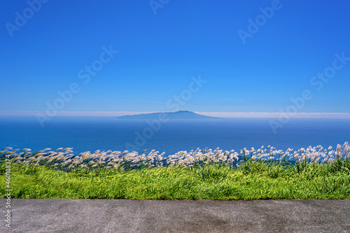 静岡県・伊東市 夏の大室山からの眺める伊豆大島の風景