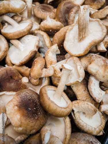mushrooms on a plate