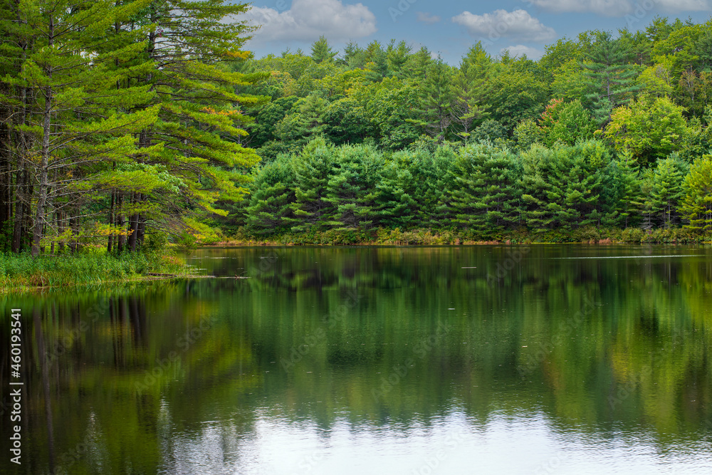 pearl hill brook pond on a late september day pearl hill brook pond on a late september day