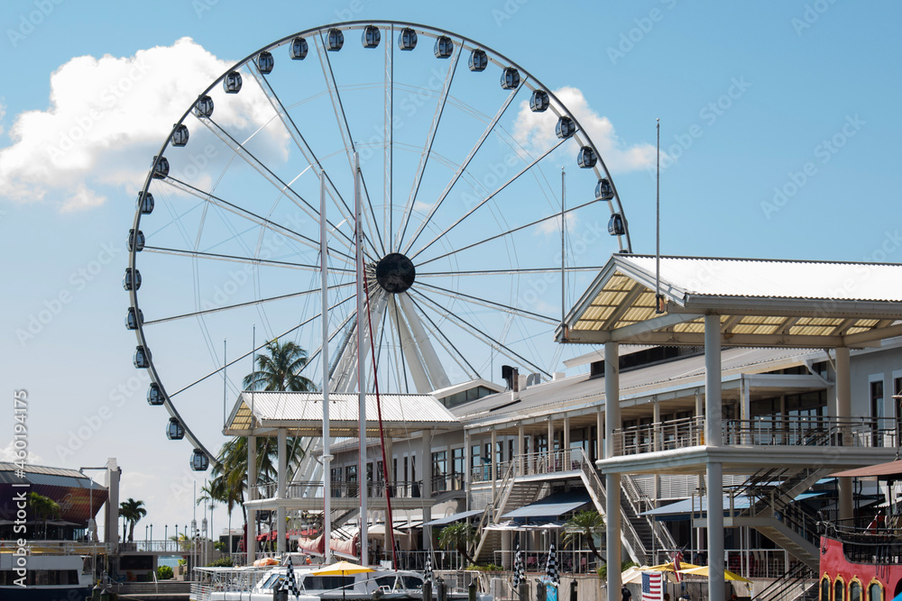 ferris wheel in the park