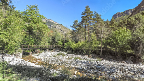 Paysage de montagne dans le Sud de la France traversé par une rivière avec un pont en bois au milieu des sapins