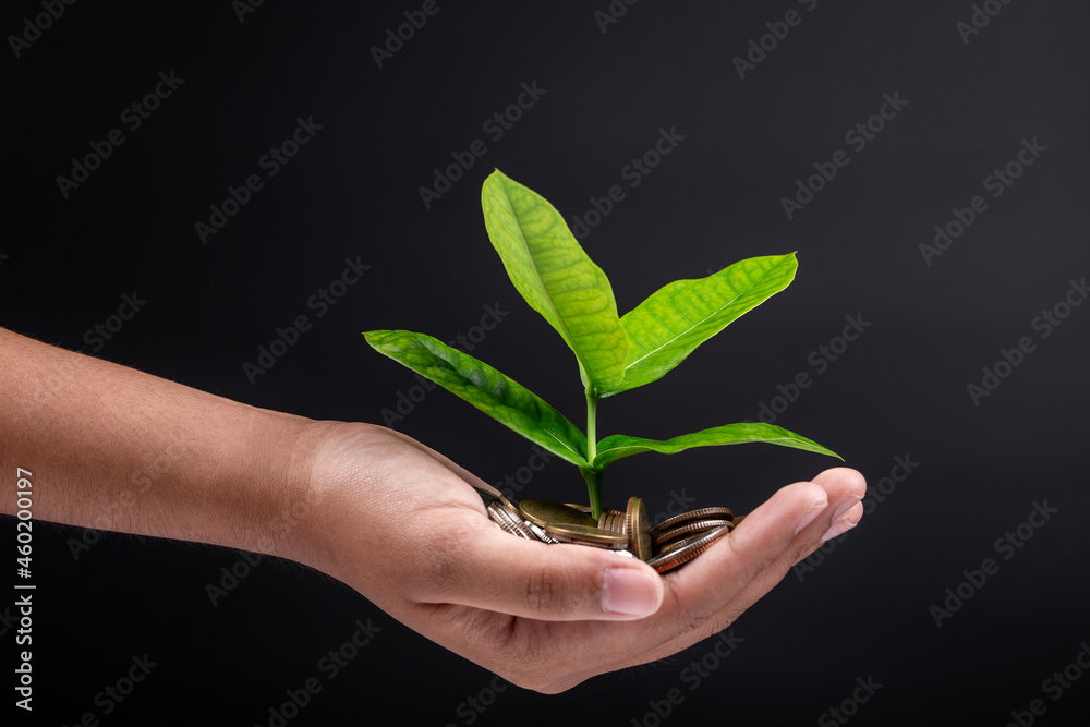 Investment concept, female hand holding stack of coins with small plant growing isolated on black background.