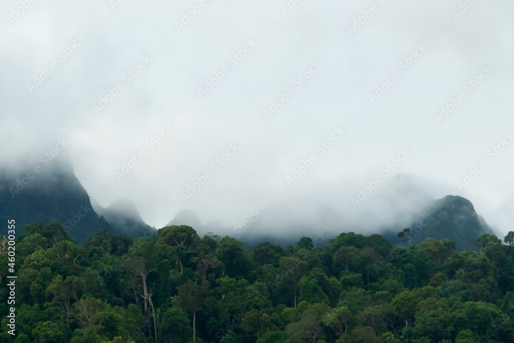 Clouds in the mountains of the rainforest of Langkawi, Malaysia