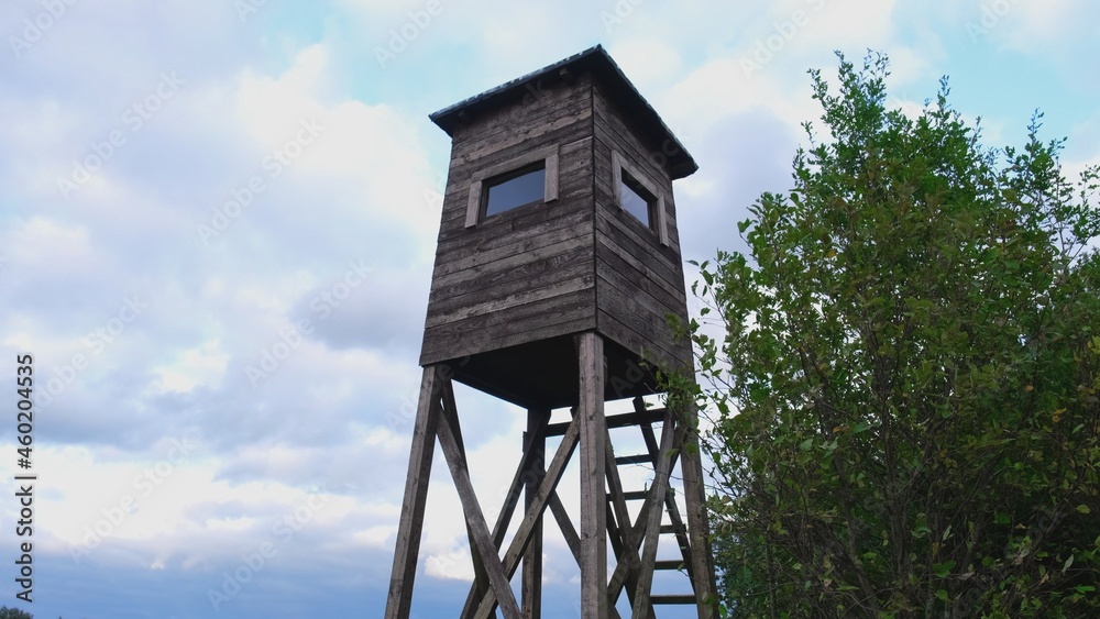 Wooden Hunting Pulpit Tower at the Edge of Forest Clearing
Wooden Hunting Pulpit Tower at the Edge of Forest Clearing