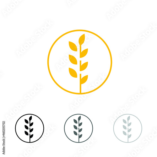circle yellow paddy wheat barley plant harvest agriculture image vector - Vector