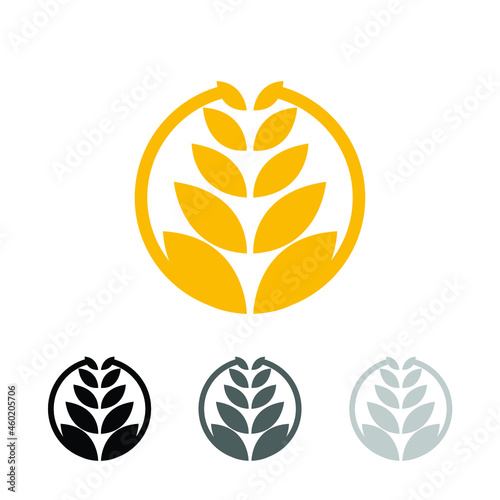 circle yellow paddy wheat barley plant harvest agriculture image vector - Vector