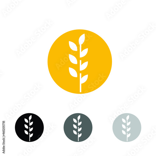 circle yellow paddy wheat barley plant harvest agriculture image vector - Vector