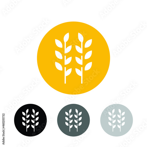 circle yellow paddy wheat barley plant harvest agriculture image vector - Vector