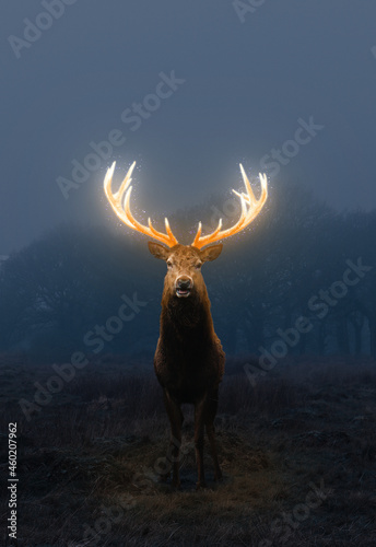 Deer with golden glowing antlers, in the clearing of a night forest, artistic and magical render 