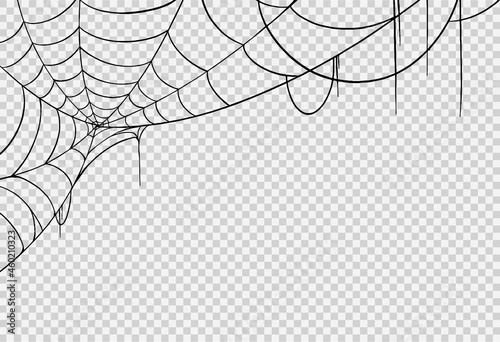 Halloween party background with spiderwebs isolated png or transparent texture,blank space for text,element template for poster,brochures, online advertising,vector illustration