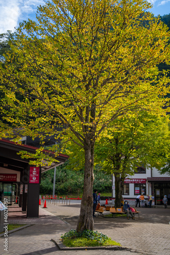 富山県立山町にある立山駅の紅葉の時期の風景 Scenery of Tateyama Station in Tateyama Town, Toyama Prefecture, during the fall foliage season. © Hello UG