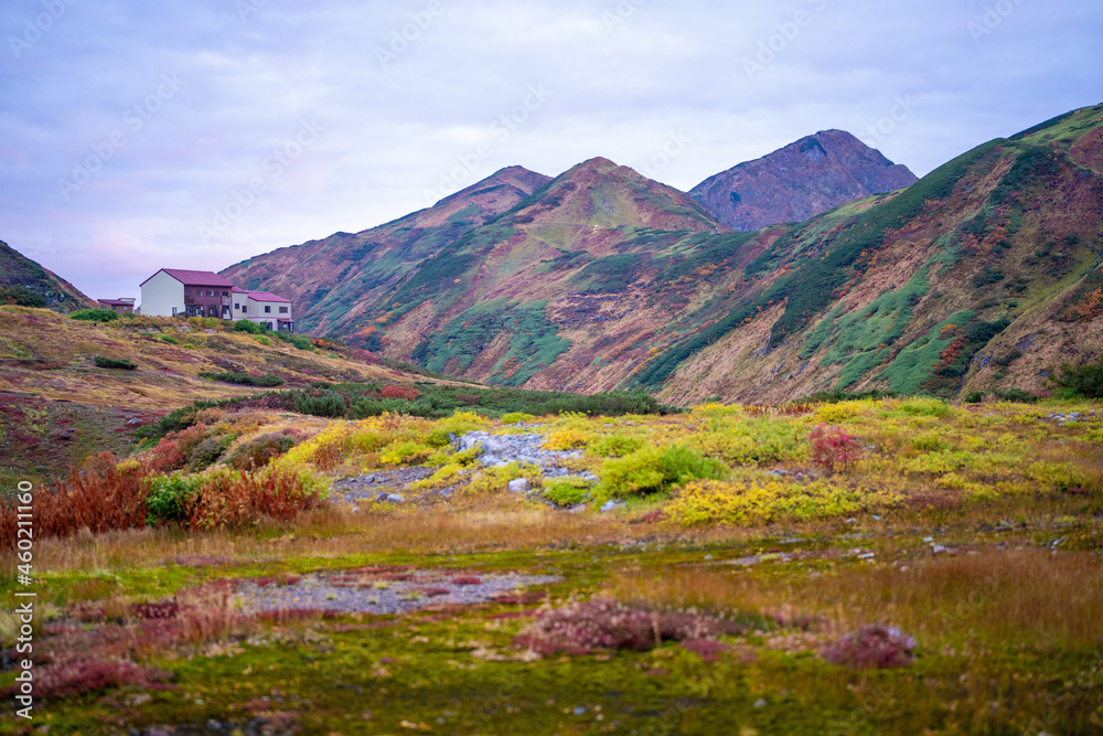 富山県立山町にある立山の紅葉の時期の早朝の風景 Early morning view of Tateyama in Tateyama Town, Toyama Prefecture, Japan, during the season of autumn leaves. 