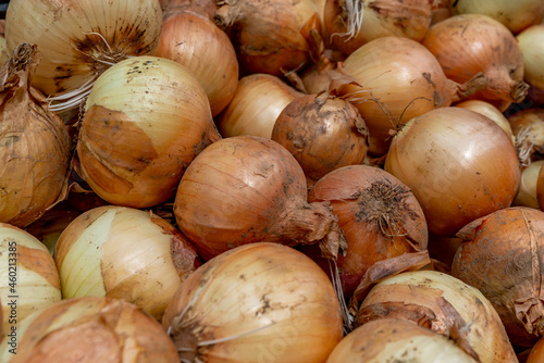 Full frame picture of freshly picked onions with dirt still on them.