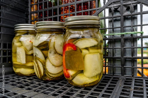 Homemade pickles inside of three canning jars.