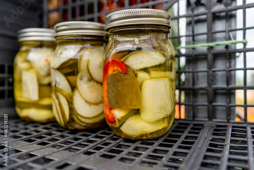 Homemade pickles inside of three canning jars.  Shot with a shallow depth of field so only the front jar is in focus.