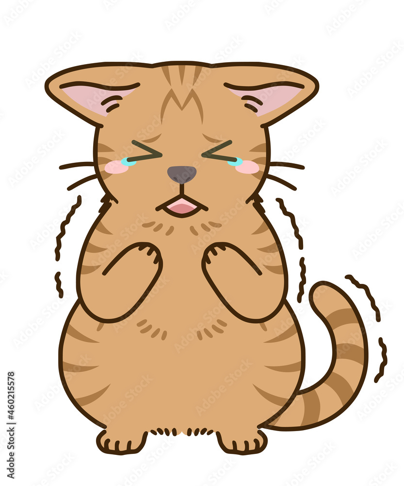 怯える猫(茶トラ) 怯える猫(茶トラ)