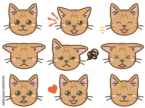 猫（茶トラ）の表情顔アイコン