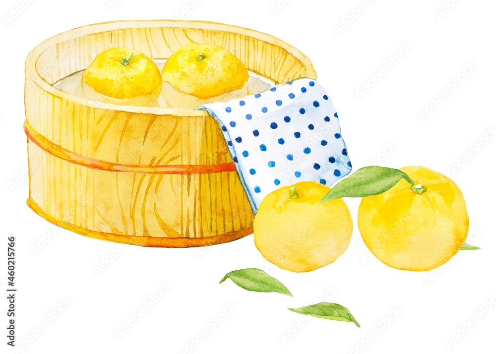 ゆずの冬至水彩イラスト Stock Illustration Adobe Stock