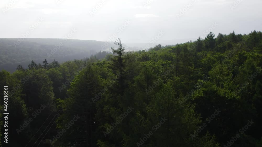 Drone aerial bird eye view over German forest wilderness where a small road passes through the wonderful forest. Flying near the trees. Drone aerial bird eye view over German forest wilderness where a small road passes through the wonderful forest. Flying near the trees.